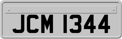 JCM1344