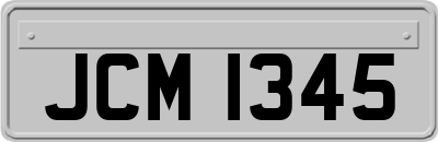 JCM1345