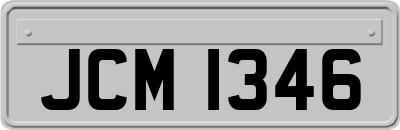 JCM1346