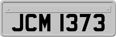 JCM1373