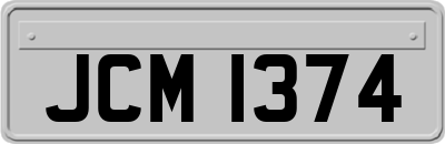 JCM1374