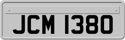 JCM1380