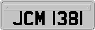 JCM1381