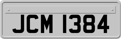 JCM1384