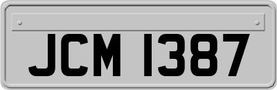 JCM1387