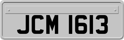 JCM1613