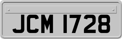 JCM1728