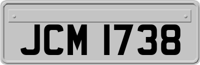 JCM1738