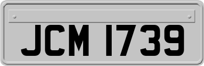 JCM1739