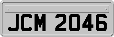 JCM2046