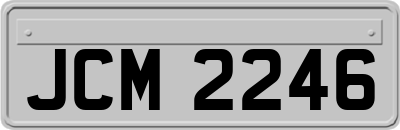 JCM2246