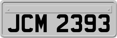 JCM2393