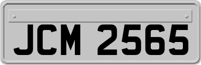 JCM2565