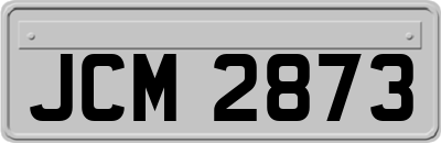 JCM2873
