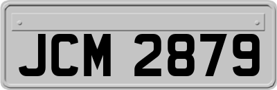 JCM2879