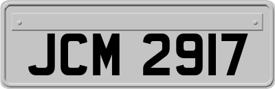JCM2917
