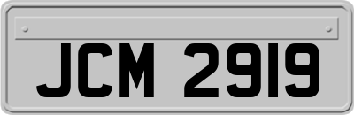 JCM2919