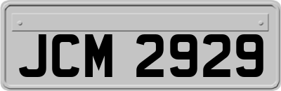 JCM2929