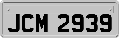 JCM2939