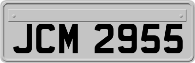 JCM2955