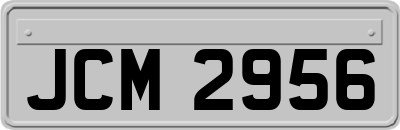 JCM2956