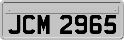 JCM2965