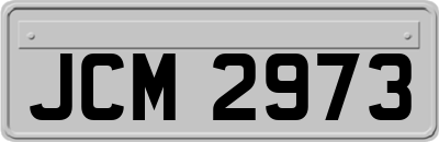 JCM2973