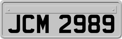 JCM2989