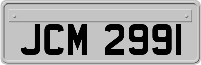 JCM2991