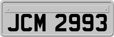 JCM2993