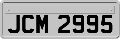 JCM2995