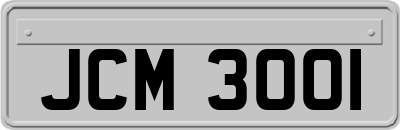 JCM3001