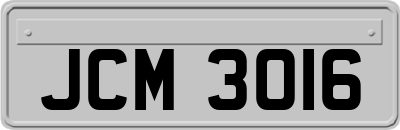 JCM3016