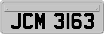 JCM3163