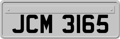 JCM3165