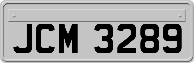 JCM3289