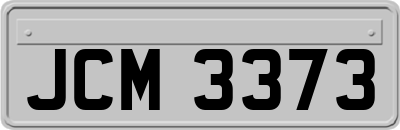 JCM3373