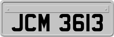 JCM3613