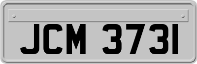 JCM3731