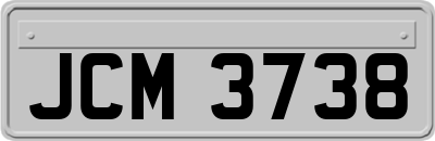 JCM3738