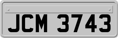 JCM3743
