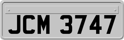 JCM3747