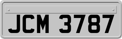JCM3787