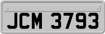 JCM3793
