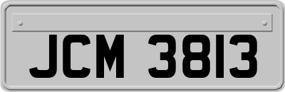 JCM3813