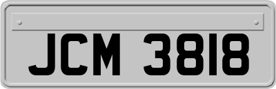 JCM3818