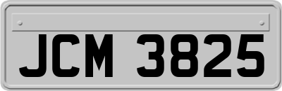 JCM3825