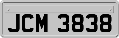 JCM3838
