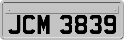 JCM3839