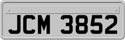 JCM3852